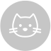 Gatto