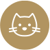 Gatto